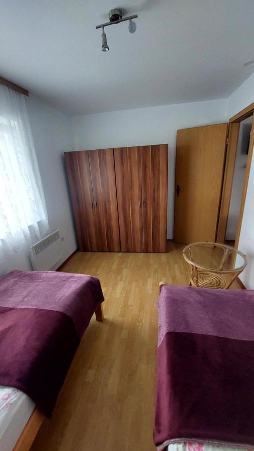 Apartma Asja Daire Brežice Dış mekan fotoğraf